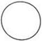 Flat Profile Watch Case Seal - 30 x 31.6 x 0.6 mm